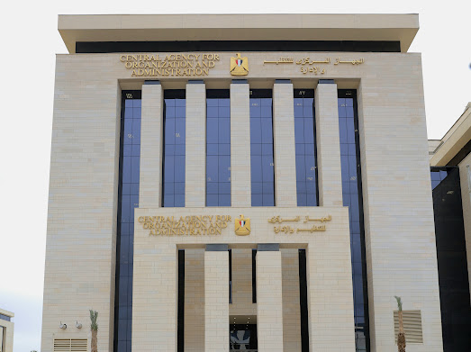التنظيم و الادارة