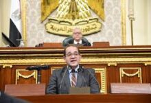 وزير المالية امام مجلس النواب